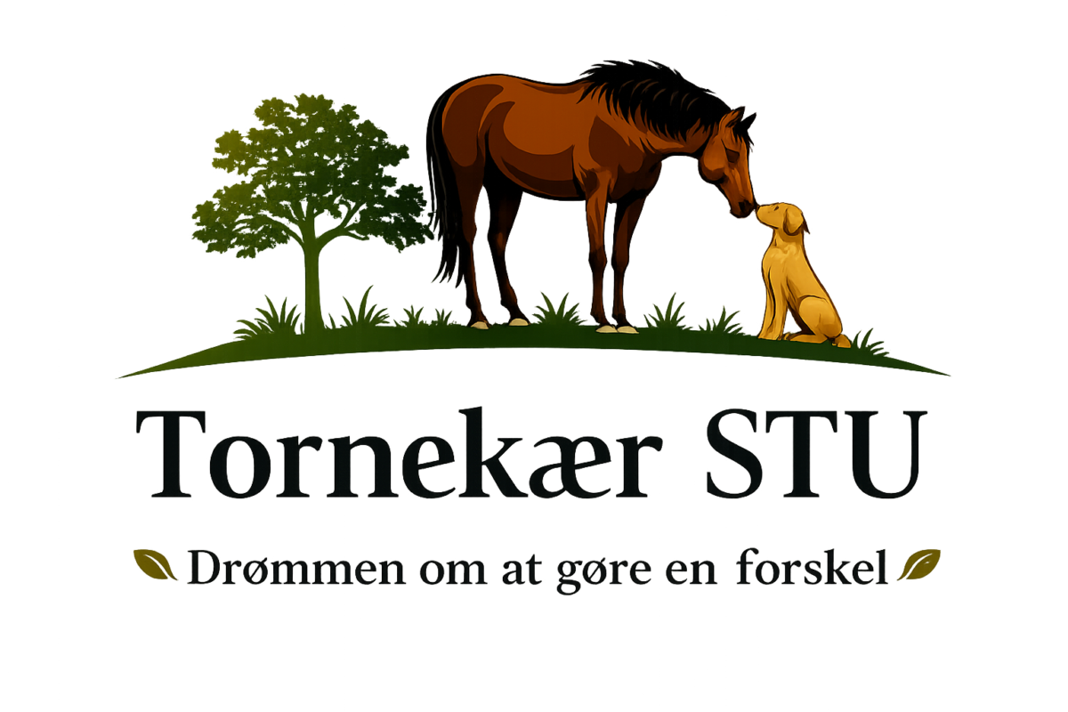 Tornekær STU