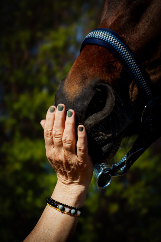 Tornekær STU